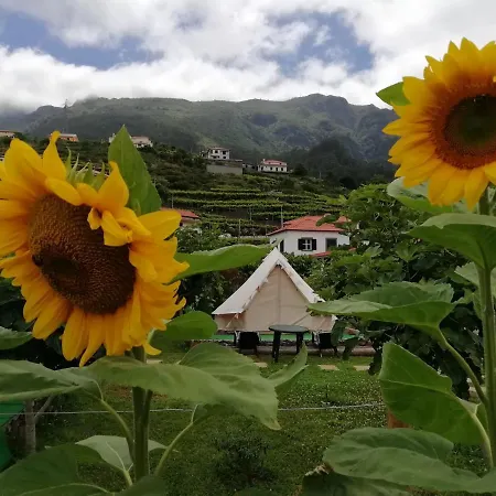 Granny's Farm