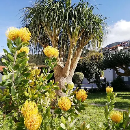 Granny's Farm * São Vicente