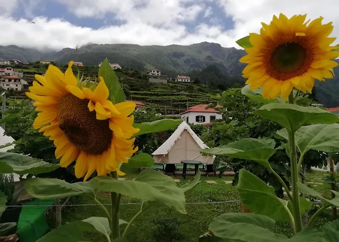 Granny's Farm