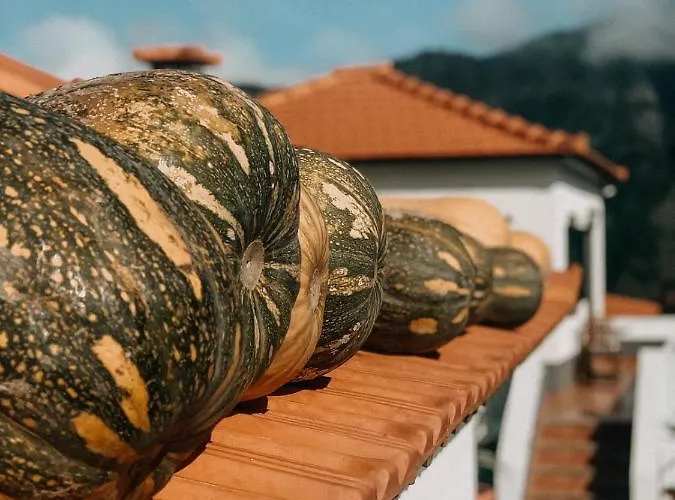 Granny's Farm Country house Sao Vicente (Madeira)