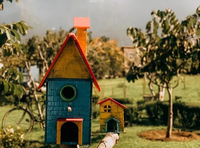 Granny's Farm Country house Sao Vicente (Madeira)