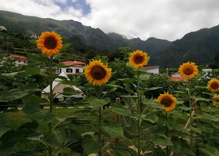Granny's Farm * Sao Vicente (Madeira)