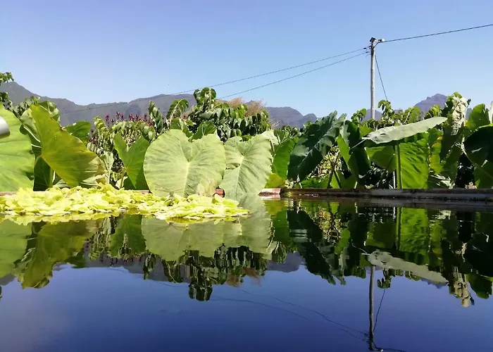 Granny's Farm Country house