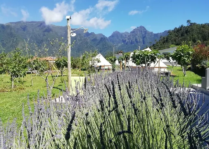 Country house Granny's Farm *