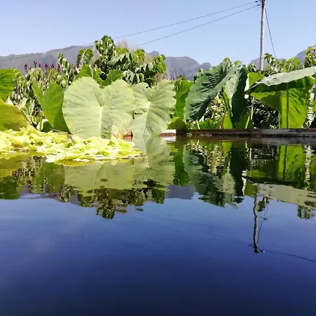 منزل ريفي Granny's Farm