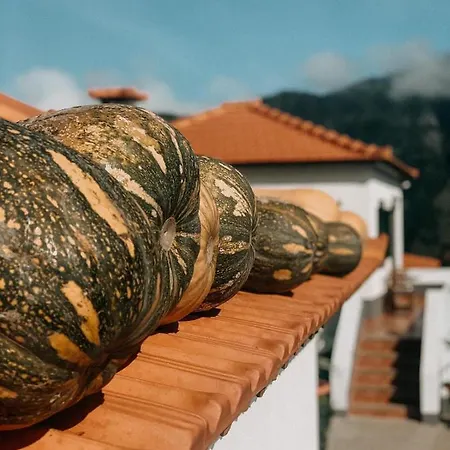 Granny's Farm Landhuis São Vicente