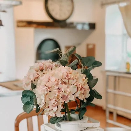 Granny's Farm Casa de Campo São Vicente