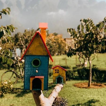 Granny's Farm Landhuis São Vicente