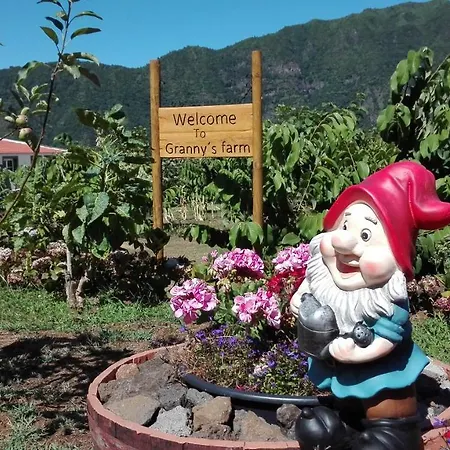 Granny's Farm Gospodarstwo wiejskie São Vicente