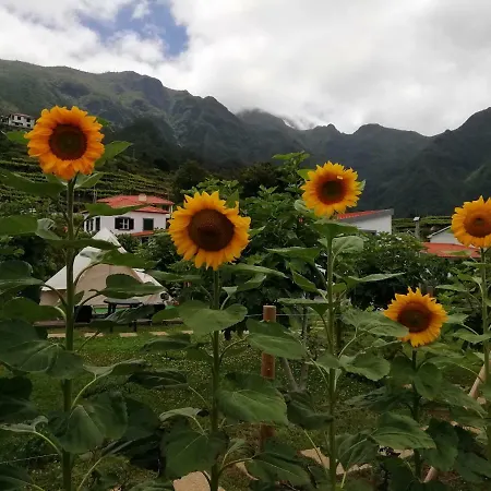 Granny's Farm * Sao Vicente (Madeira)