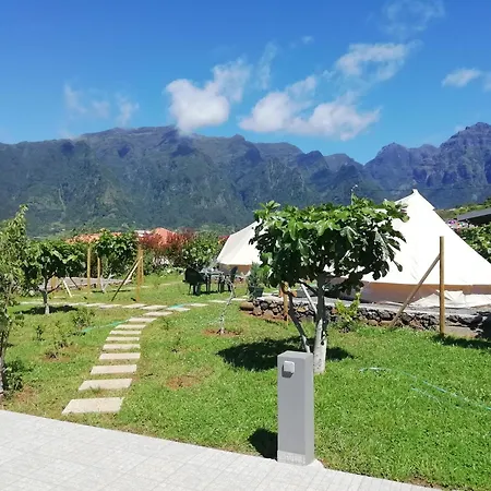 Granny's Farm