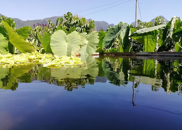 Venkovský dům Granny's Farm