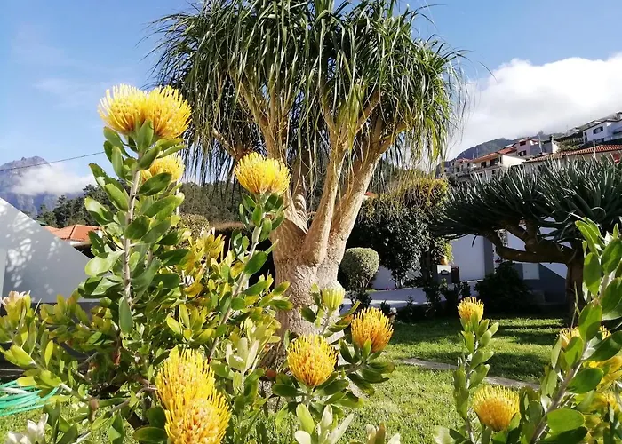 Granny's Farm * São Vicente