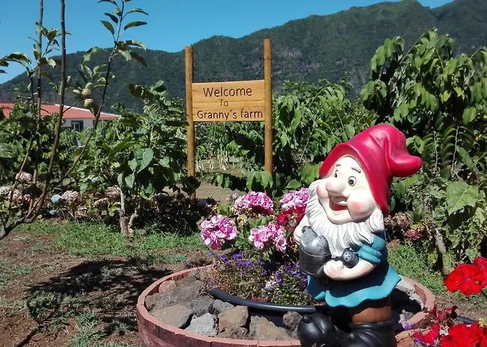 Granny's Farm Venkovský dům São Vicente